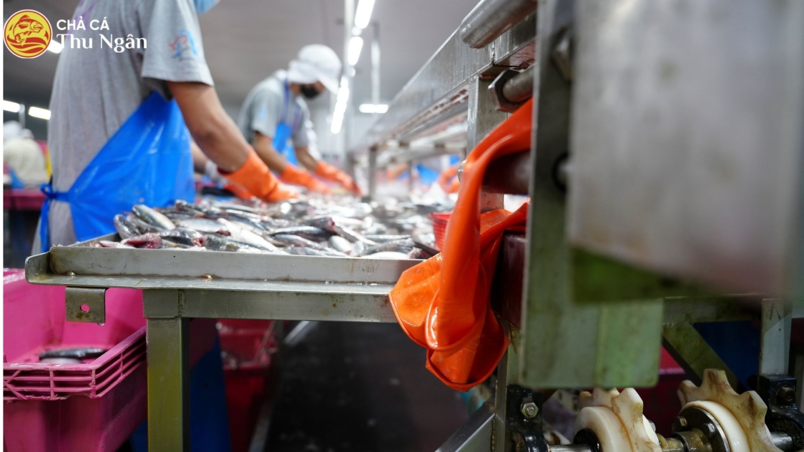 Quy trình sản xuất chả cá Thu Ngân hiện đại và an toàn